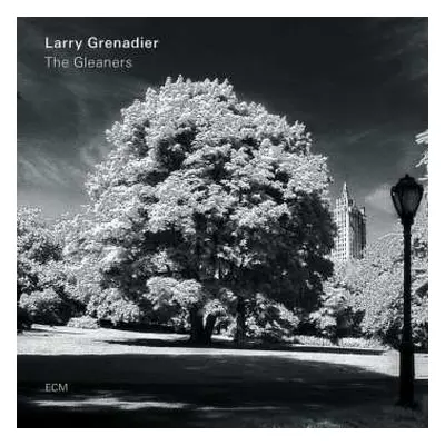 CD Larry Grenadier: The Gleaners