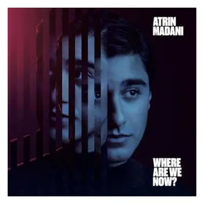 CD Atrin Madani: Where Are We Now?