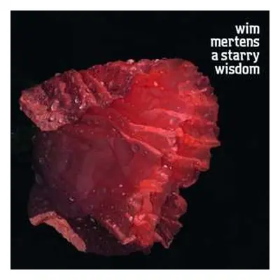 CD Various: A Starry Wisdom