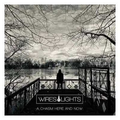 2LP Wires & Lights: A Chasm Here And Now LTD