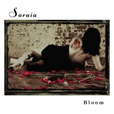 LP Soraia: Bloom CLR