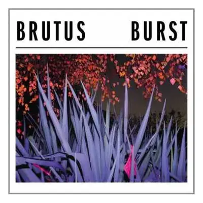 LP Brutus: Burst