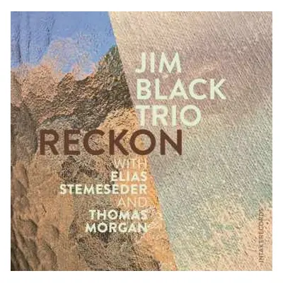 CD Jim Black Trio: Reckon