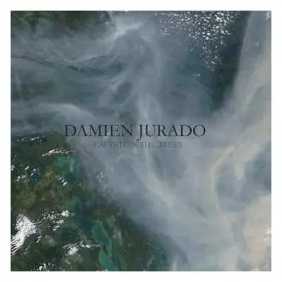 CD Damien Jurado: Caught In The Trees