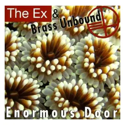 CD The Ex: Enormous Door