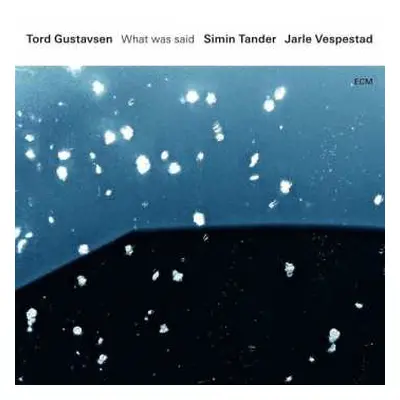 2LP Tord Gustavsen: What Was Said