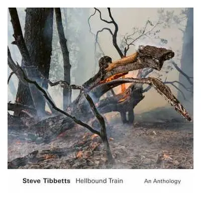 2CD Steve Tibbetts: Hellbound Train (An Anthology)