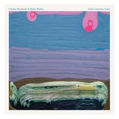 LP Ryley Walker: Little Common Twist LTD | CLR