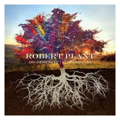 2CD Robert Plant: Digging Deep: Subterranea