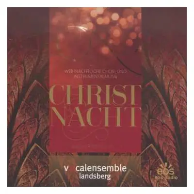 CD Various: Vocalensemble Landsberg - Christnacht