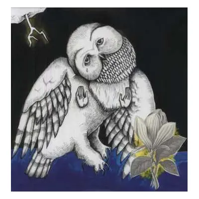 2LP Songs: Ohia: The Magnolia Electric Co DLX