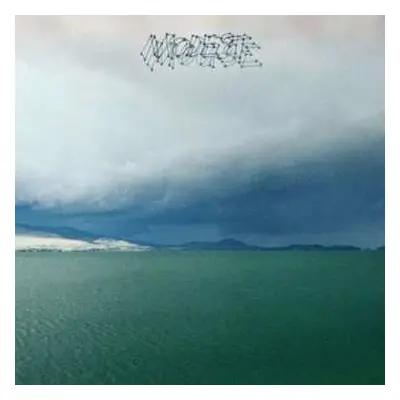 LP Modest Mouse: The Fruit That Ate Itself