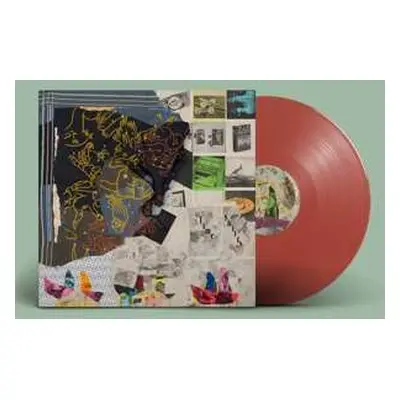 2LP Animal Collective: Time Skiffs LTD | CLR