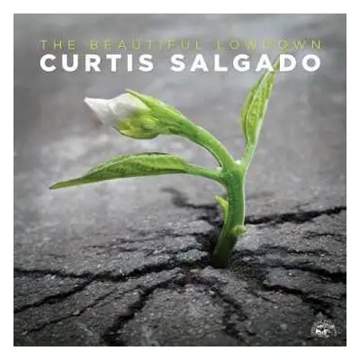 CD Curtis Salgado: The Beautiful Lowdown