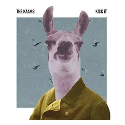 CD The Kaams: Kick It