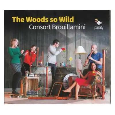 CD Consort Brouillamini: The Woods so Wild