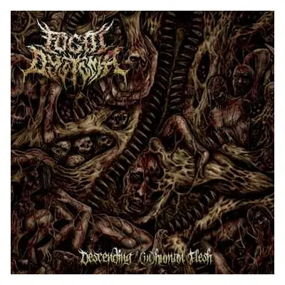 CD Focal Dystonia: Descending (In)Human Flesh