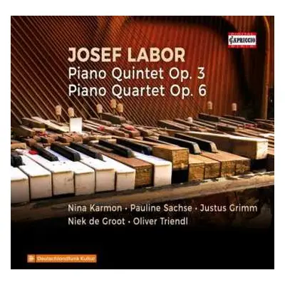 CD Josef Labor: Piano Quintet Op. 3; Piano Quintet Op. 6