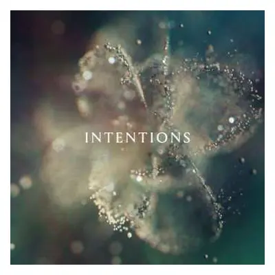 2LP DJ Anna: Intentions