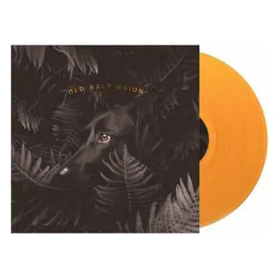 LP Old Salt Union: Where The Dogs Don't Bite LTD | CLR