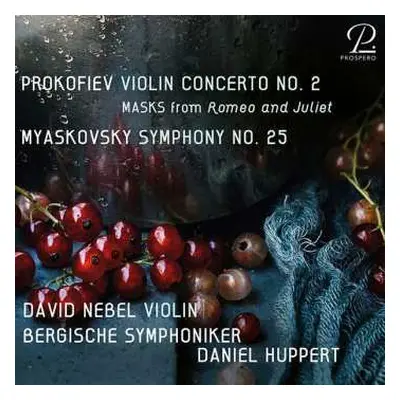 CD Nikolai Miaskowsky: Symphonie Nr.25