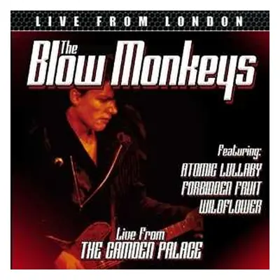 CD The Blow Monkeys: Live From London