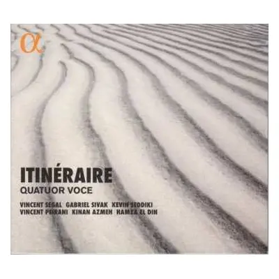 CD Vincent Segal: Itinéraire