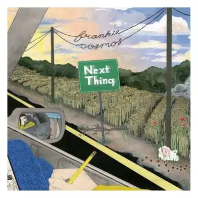 CD Frankie Cosmos: Next Thing