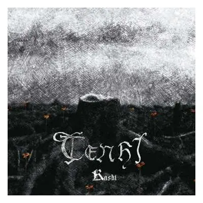 CD Tenhi: Kaski