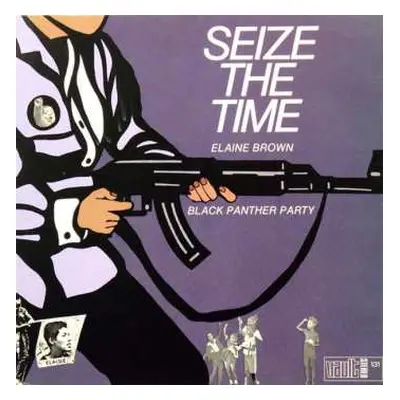 LP Elaine Brown: Seize The Time - Black Panther Party