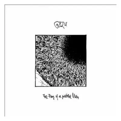 2LP Gozu: The Fury Of A Patient Man LTD