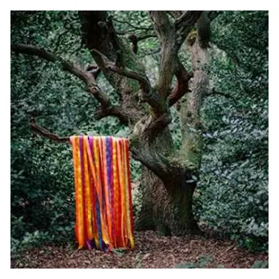 2LP James Holden: The Animal Spirits