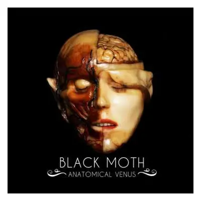 LP Black Moth: Anatomical Venus