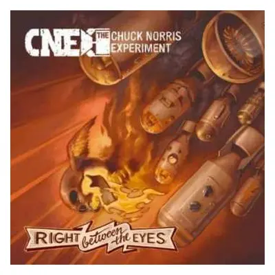 CD The Chuck Norris Experiment: Right Between The Eyes