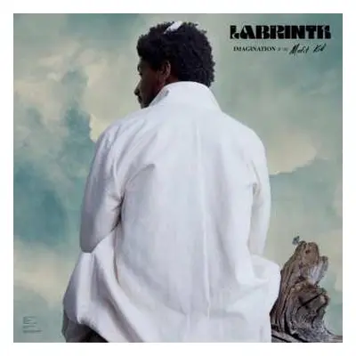 LP Labrinth: Imagination & The Misfit Kid CLR