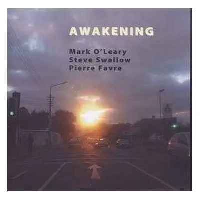 CD Steve Swallow: Awakening