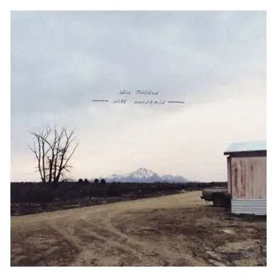 LP Will Johnson: Wire Mountain