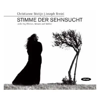 CD Gustav Mahler: Christianne Stotijn - Stimme Der Sehnsucht