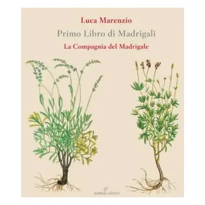 CD La Compagnia Del Madrigale: Primo Libro Di Madrigali