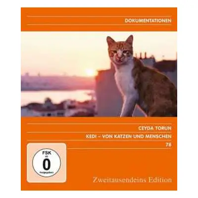 DVD Various: Kedi - Von Katzen Und Menschen