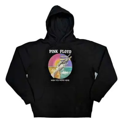 Pink Floyd Unisex Pullover Hoodie: Wywh Circle Icons (large) L