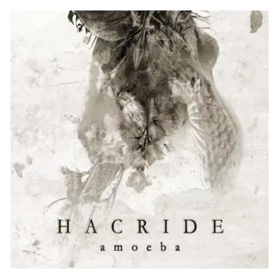 CD Hacride: Amoeba