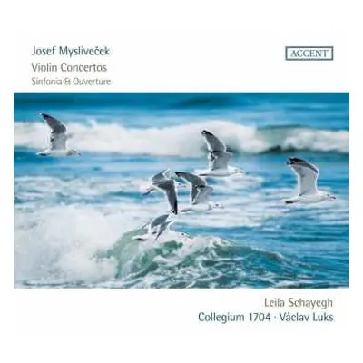 CD Collegium 1704: Violin Concertos, Sinfonia Et Ouverture