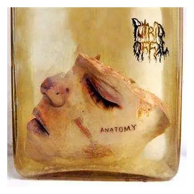 CD Putrid Offal: Anatomy LTD | NUM | DIGI