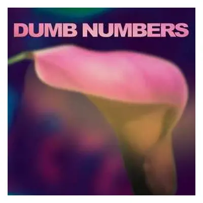 LP Dumb Numbers: Dumb Numbers