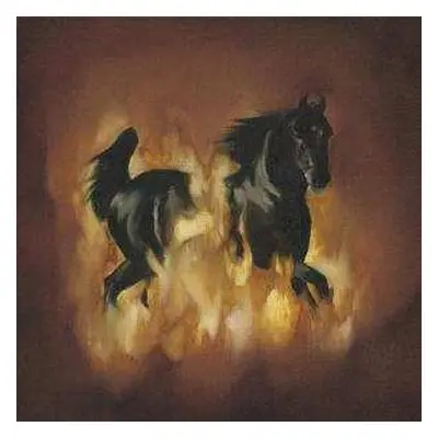 LP The Besnard Lakes: The Besnard Lakes Are The Dark Horse