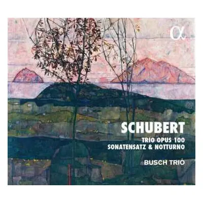 CD Franz Schubert: Trio Opus 100, Sonatensatz & Notturno