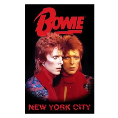 David Bowie Textile Poster: New York City