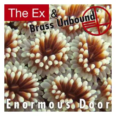 LP The Ex: Enormous Door