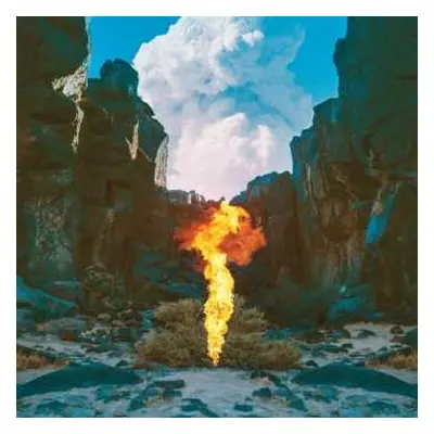 CD Bonobo: Migration